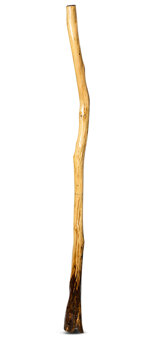 Peter Sherwood Didgeridoo (NV125)